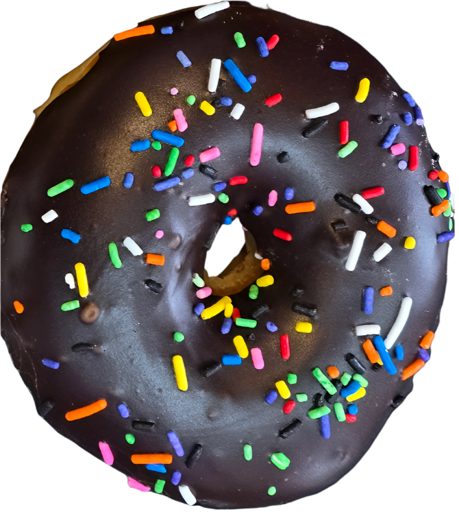 Chocolate Sprinkles Donut