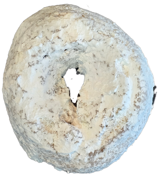 Powdered Hand-Cut Donut