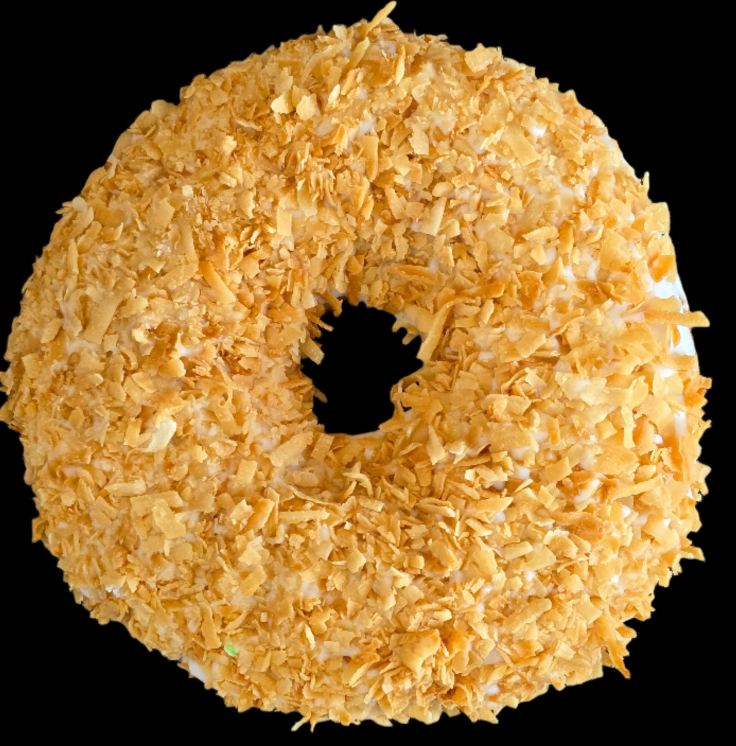 Toasted Coconut Donut